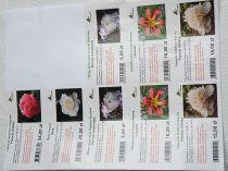 Etykiety błyszczące papierowe 105x59.4 mm (10)