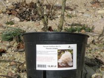 Etykiety błyszczące papierowe 105x59.4 mm (10)