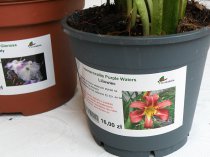 Etykiety błyszczące papierowe 105x59.4 mm (10)