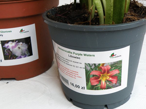 Etykiety błyszczące papierowe 105x59.4 mm (10)