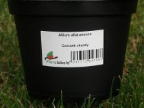 Etykiety błyszczące papierowe 48.5x25.4mm (4400szt.)