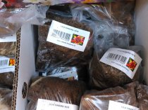 Etykiety błyszczące papierowe 48.5x25.4mm (4400szt.)