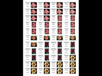 Etykiety błyszczące papierowe 48.5x25.4mm (4400szt.)