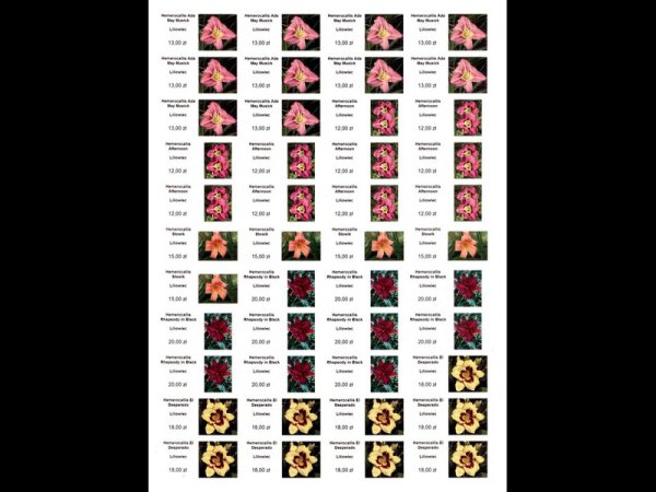 Etykiety błyszczące papierowe 48.5x25.4mm (4400szt.)