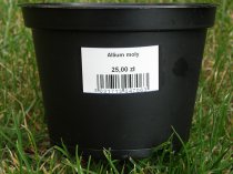 Etykiety błyszczące papierowe 38x21.2mm (6500szt.)