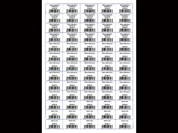 Etykiety błyszczące papierowe 38x21.2mm (6500szt.)