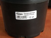 Etykieta samoprzylepna TT 50 x 20 mm - rolka 6000