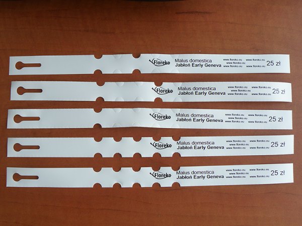 Etykieta pętlowa TT 20 x 300 mm - rolka 1000