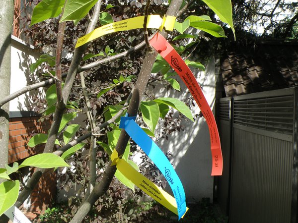 Etykieta pętlowa TT 17 x 200 mm kolorowa- rolka 1000