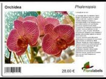 Etykieta samoprzylepna 199,6 x 143,5 mm, A5 (50 szt.)