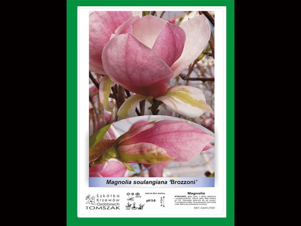 Etykieta samoprzylepna 207 x 295 mm, A4 (25 szt.)