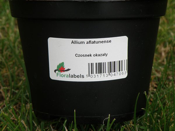 Etykieta samoprzylepna 48 x 25 mm (1100 szt.)