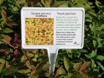 Etykieta samoprzylepna 97,5 x 57 mm (250 szt.)