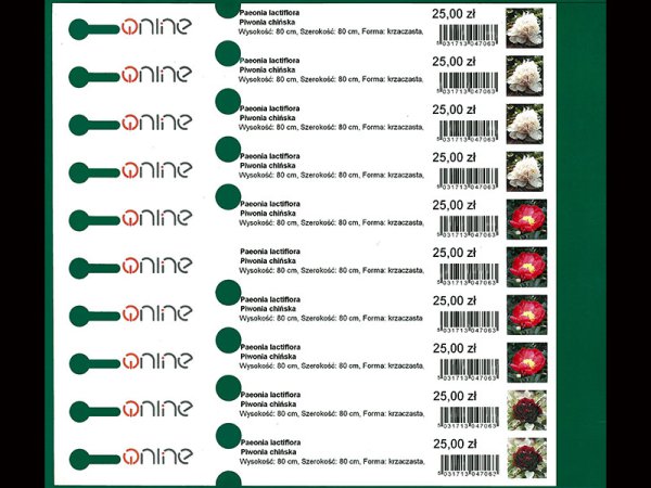 Etykieta pętlowa L1 20 x 210 mm bez końcówki (250szt.)