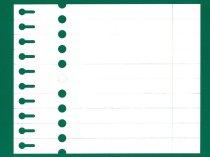 Etykieta pętlowa L1 20 x 250 mm (250szt.)