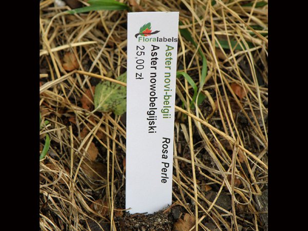 Etykieta wtykana L1 17 x 97 mm (600szt.)