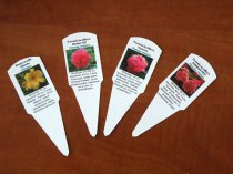 Etykieta wtykana L1 34 x 104 mm (400szt.)