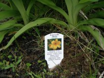 Etykieta wtykana L1 34 x 104 mm (400szt.)