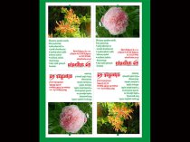 Etykieta wieszana L1 100 x 149 mm (100szt.)