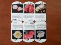 Etykieta wieszana L1 66 x 121 mm (150szt.)