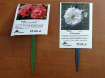 Etykieta wieszana L1 70 x 99 mm (225szt.)