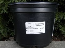 Etykieta samoprzylepna TT 50 x 30 mm - rolka 5000