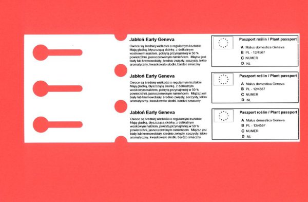 Etykieta pętlowa TT 33 x 254mm - rolka 1500