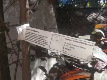 Etykieta pętlowa TT 33 x 254mm - rolka 1500