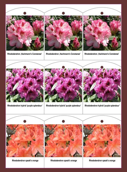 Etykieta wieszana L1 70 x 95 mm (225szt.)