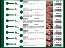 Etykieta pętlowa L2 25 x 250 mm (200szt.)