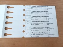 Etykieta pętlowa TT 17 x 160 mm - rolka 1000