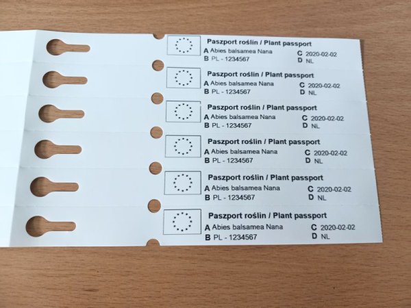 Etykieta pętlowa TT 17 x 160 mm - rolka 1000