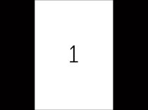 Etykiety samoprzylepne przezroczyste matowe 210 x 297 mm (100szt)