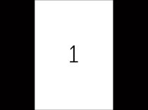 Etykiety samoprzylepne przezroczyste błyszczące 210 x 297 mm (1)